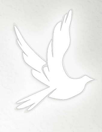 John C. Hogue Jr. Obituary